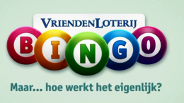 VL Bingo - Hoe werkt het